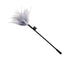 Fjer Tickler